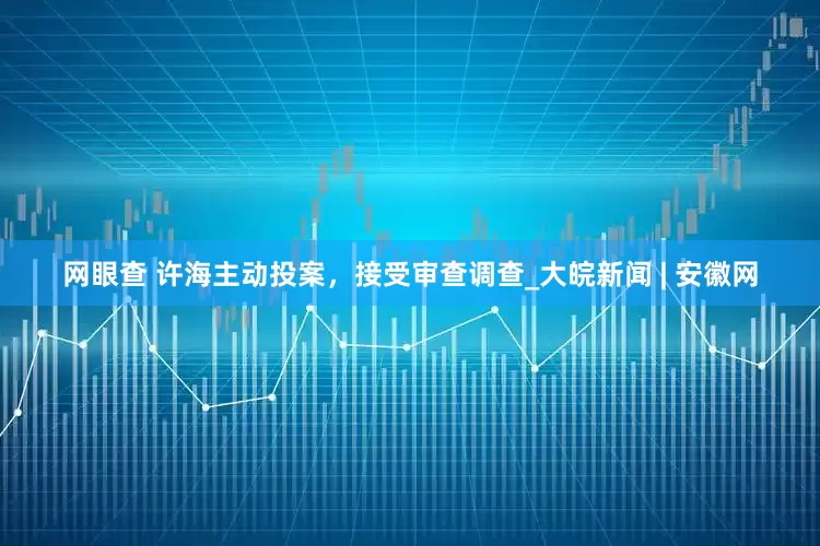 网眼查 许海主动投案，接受审查调查_大皖新闻 | 安徽网