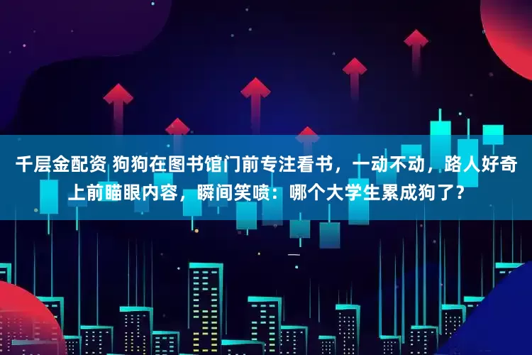 千层金配资 狗狗在图书馆门前专注看书，一动不动，路人好奇上前瞄眼内容，瞬间笑喷：哪个大学生累成狗了？